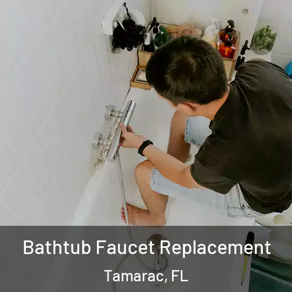  Bathtub Faucet Replacement Tamarac, FL